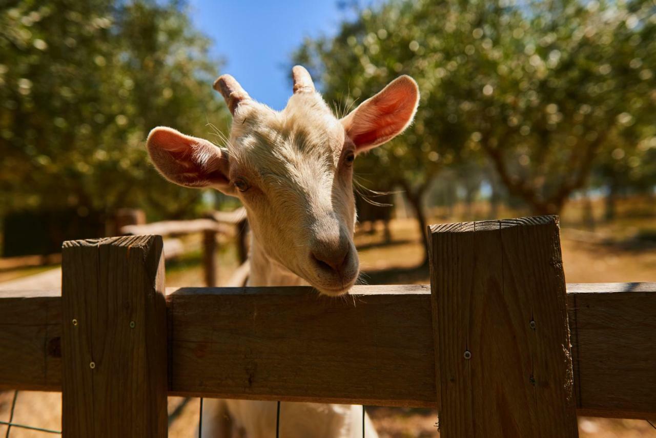 Casale Di Valle Βίλα Βίντσι Εξωτερικό φωτογραφία
