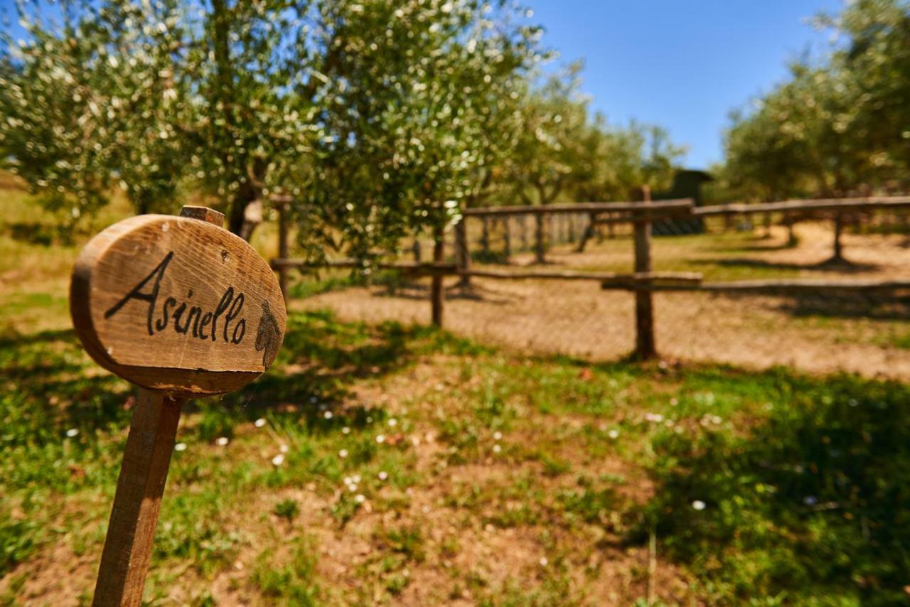 Casale Di Valle Βίλα Βίντσι Εξωτερικό φωτογραφία