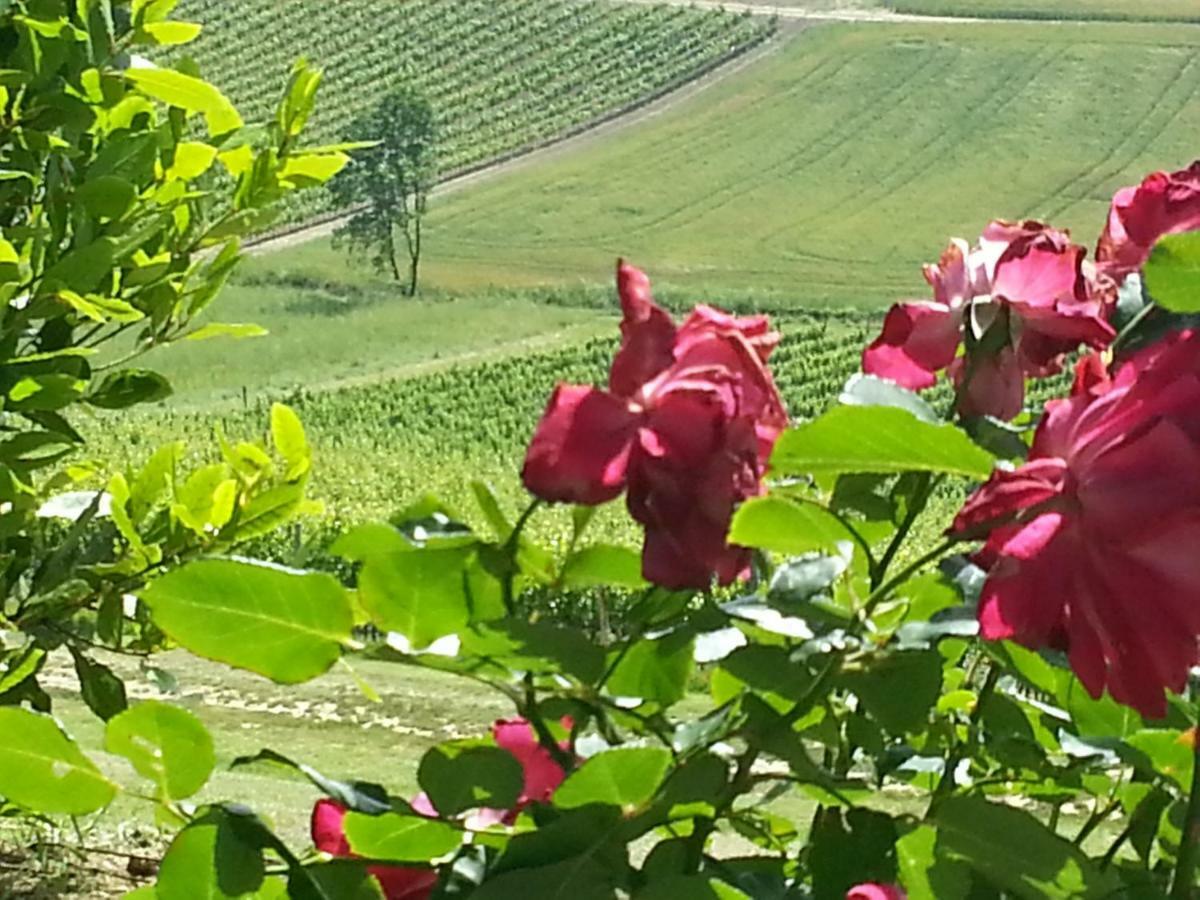 Casale Di Valle Βίλα Βίντσι Εξωτερικό φωτογραφία