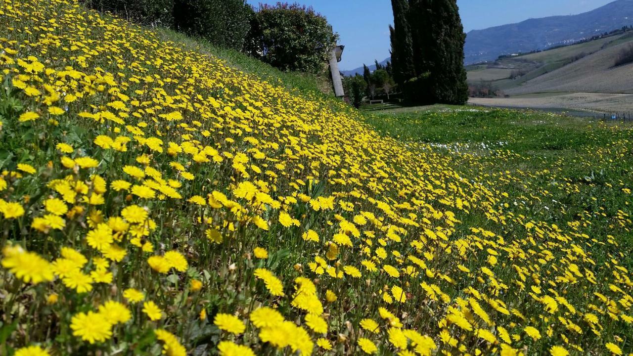 Casale Di Valle Βίλα Βίντσι Εξωτερικό φωτογραφία