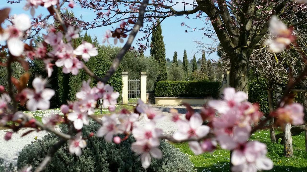 Casale Di Valle Βίλα Βίντσι Εξωτερικό φωτογραφία