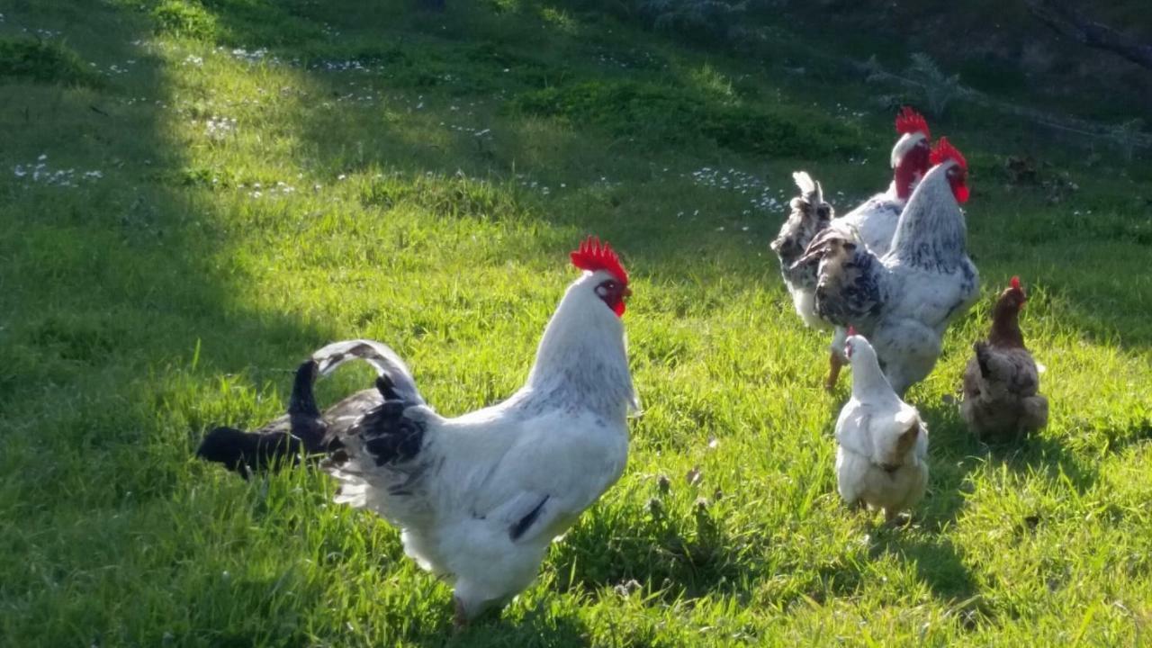 Casale Di Valle Βίλα Βίντσι Εξωτερικό φωτογραφία