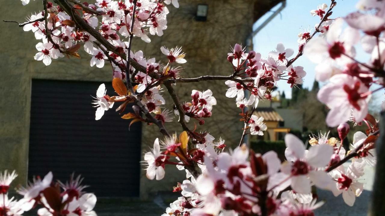 Casale Di Valle Βίλα Βίντσι Εξωτερικό φωτογραφία